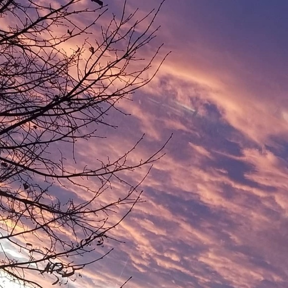 Meet your Posher, Ally - Picture 1 of 1